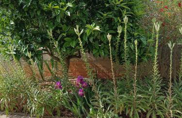 Apartments Blue House - Photo 16