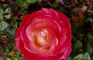 Ferienwohnung an der Ostsee - Foto 14