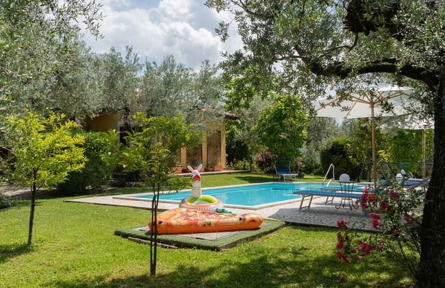 Olive Grove Sabina - Foto 30