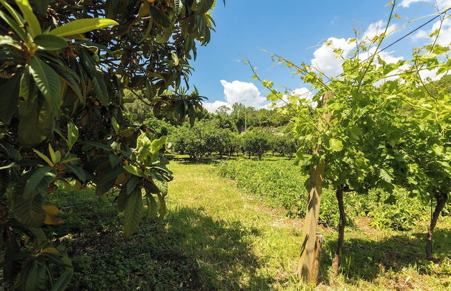 Konavle Apartments Zlatovisce 3 - Foto 19