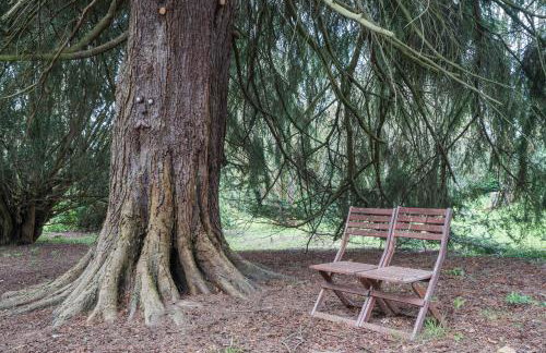 Cabin for 2 - Outdoor Bath Wood Burner - Foto 13