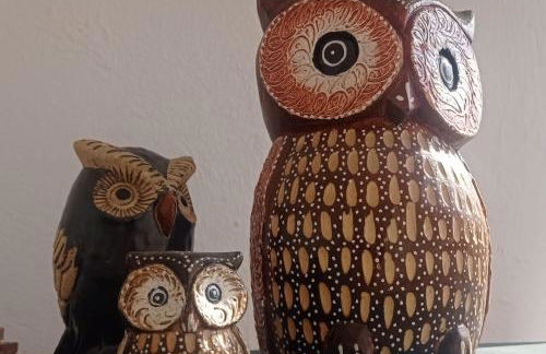 Estudio-Monoambiente para 2 personas en comunidad con piscina - Photo 18