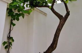 Corte Dioniso Eco Apartments & Suites - Foto 37