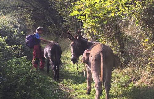 Le gîtânes de la grotte au lion - Foto 11