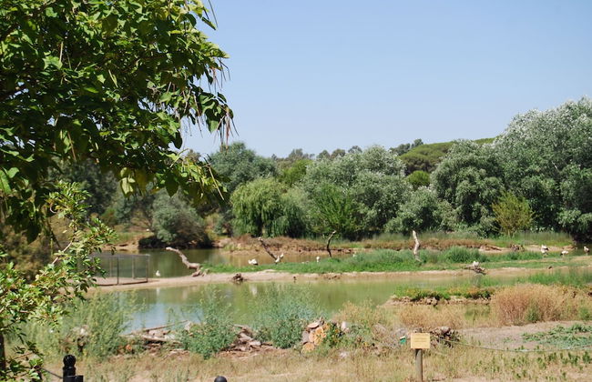 Vivienda Rural el Retorno - Foto 49