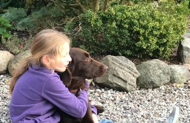 Ferienhof Marquardt Fewo Mohnblume - Foto 16