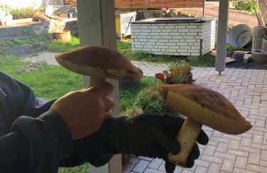 Casa „Ella“ - Photo 18