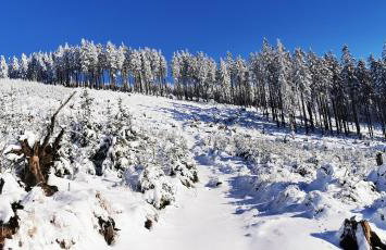 Przestronny apartament nr 7 z widokiem na góry Sowie - Foto 33