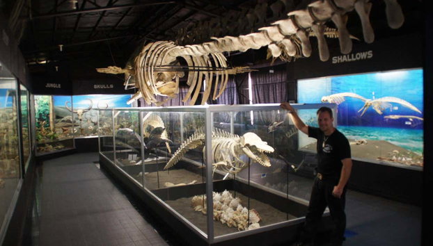 Excursion à Crocodile Park + Tribu K'mindanawan - Photo 4, D' Bone Collector Museum