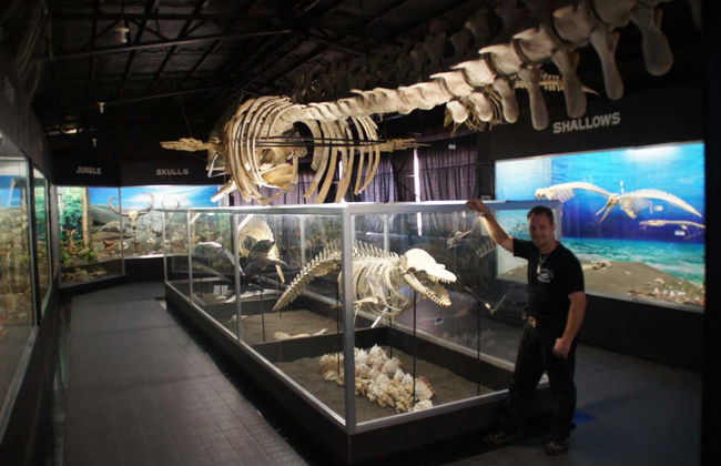 Crocodile Park & Tribu K’Mindanawan Tour - Photo 4