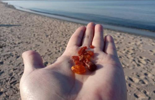 Bursztynowy Apartament - Photo 16