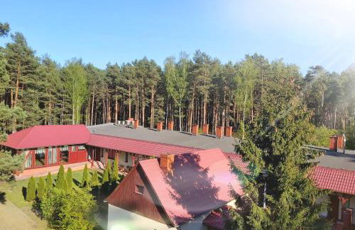 Drzewosfera - Foto 1