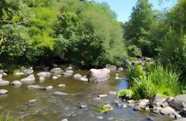 Gîte Tournesol -Gîtes Au Bas Marais - Foto 26