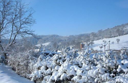 Ferienwohnungen "allerleigrün" - Foto 12