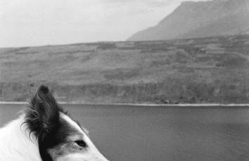 Villa Dimitra - Mani , traditional archontiko - Foto 74