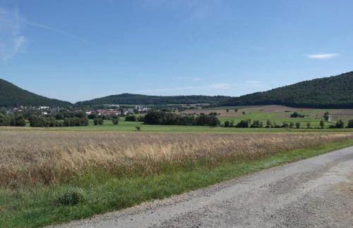 Wagener's Hof Apartments - Foto 80