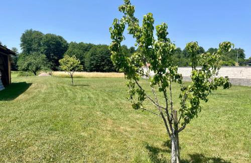 La Ferme des 1000 étangs - Foto 14