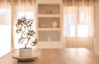 Villa des Roches - Labeaume - Photo 30