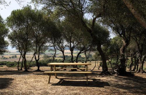 Finca Florida - Foto 29