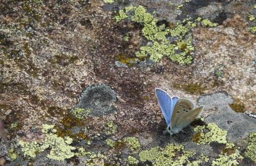 Metsola Apartamentos Rurales - Foto 48