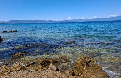 FoREST Heritage Apartment - Foto 69