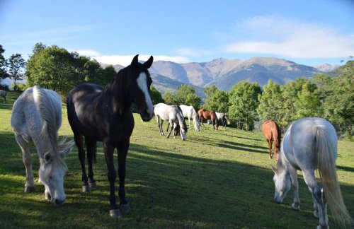 Les Pedres - Foto 57