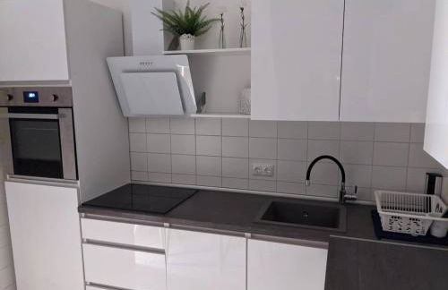 Wohnen am Main - gemütlicher Altbau, zentral - Foto 11