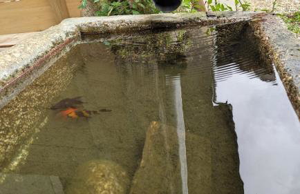 La Maison de Pérouges - Foto 7