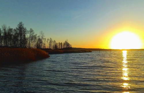 Ferienbungalows am Wolziger See - Foto 54