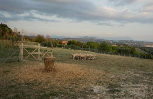 La Collina Degli Ulivi - Foto 76