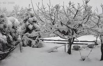 Pinecone Lodge, Eptalofos Wellness Garden Chalet - Foto 25