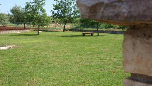 Holiday Home Rosa - Foto 3, Garden view