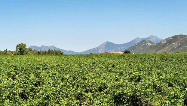 El entorno de las bodegas