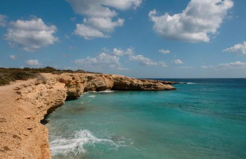 Dafnis Koufonisia - Foto 57