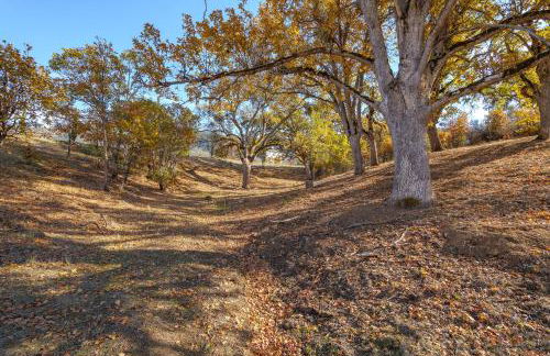 Starry Oak Vineyard Retreat w Hot Tub - Foto 45