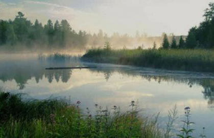 Downtown Bellaire, Close to Hiking, Biking, Golf, Lakes,Pets friendly - Foto 52