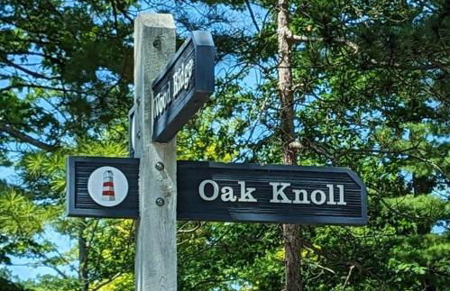 South Village 7 - Foto 6