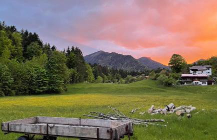 Laimgruber Hof - Naturresidenz - Foto 54