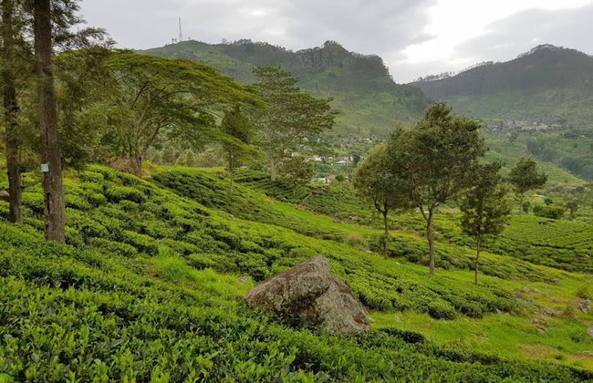 Residence Kuruniyavilla - Photo 79