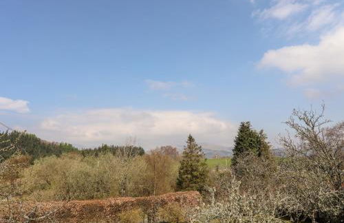 Gilfachwydd - Foto 43