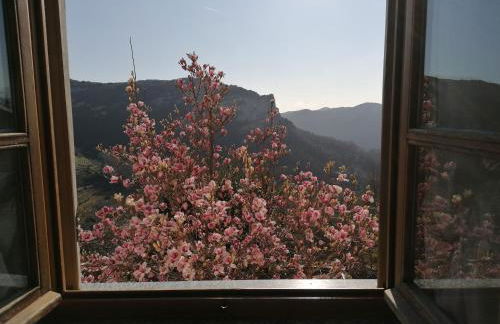 Agriturismo Caruggiu di via vecchia - Foto 2