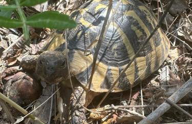 Villa Nada - Foto 32