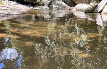 Fazendinha Paraíso - Foto 20