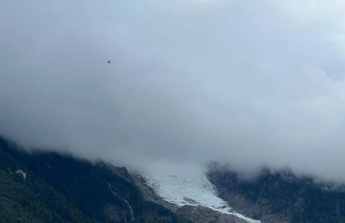 Mont Blanc 25, vue Mont blanc, balcon, parking - Photo 14