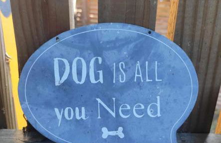 Charmant studio à Saint Brévin l'Océan - Foto 20