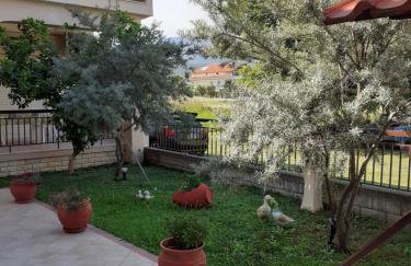 Chrysafis Apartments - Photo 7