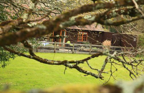 Cottage near Corfe & Jurassic Coast - Foto 45