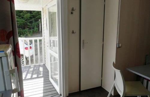 4 sowy Góry Sowie - Foto 11