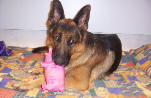 Agriturismo Il Paradiso - Foto 82