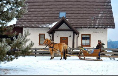 Dom w sercu Kaszub - Foto 1